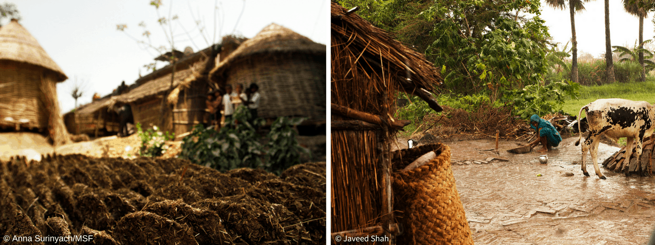 India accounts for 50% of the global burden of kala azar, and Bihar has 80% of the cases found within the country. 