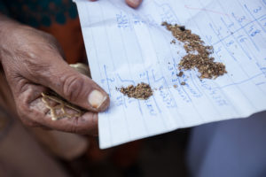 Gulshan’s mother holds mixed herbs. She says that traditionally, this is what they will feed the child, in addition to breastmilk, for the first few weeks. According to Gulshan’s mother, this will help the baby with indigestion.
Gulshan gave birth to a girl at the MSF facility at DHQ Hospital in Dera Murad Jamali on 20 November 2018