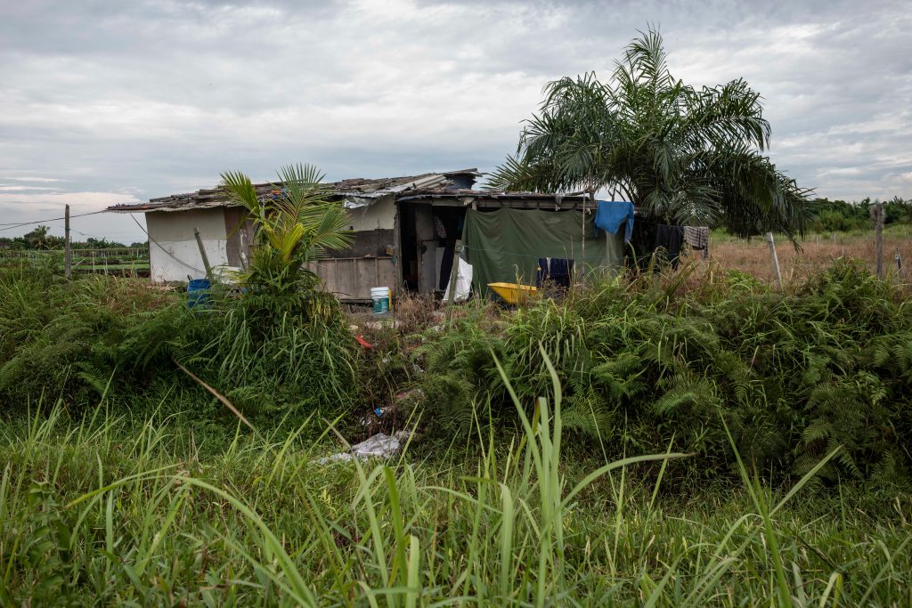 Rohingya refugees live in this rudimentary shelter on a small farm in Banding, Kuala Lumpur, Malaysia. April 2019. © ARNAUD FINISTRE