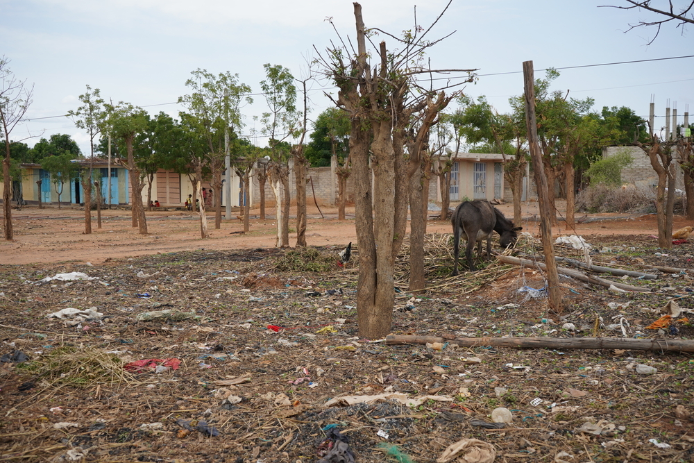 The Sematat IDP Camp in Shire, located in the Tigray region of Ethiopia, has been home to more than 43,415 internally displaced persons (IDPs) since the conflict ended in 2022. 

 

Originally a school before the conflict began in 2020, the facility, like many other schools in the region, has been repurposed as a shelter for displaced individuals. However, it remains an overcrowded space, highlighting the ongoing challenges faced by those seeking refuge. ©️MSF